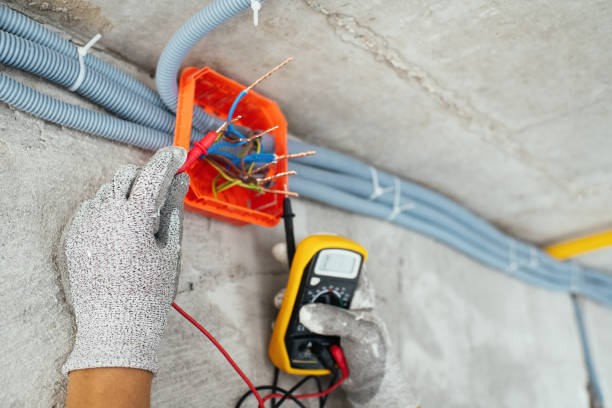 Best Residential Electrician Services  in Demopolis, AL