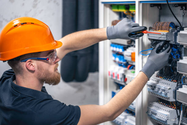 Best Electrical Repair Services  in Demopolis, AL